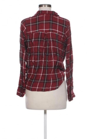 Damen Shirt Hollister, Größe S, Farbe Mehrfarbig, Preis € 12,76