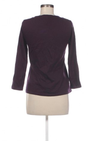 Damen Shirt Massimo Dutti, Größe S, Farbe Lila, Preis 9,99 €