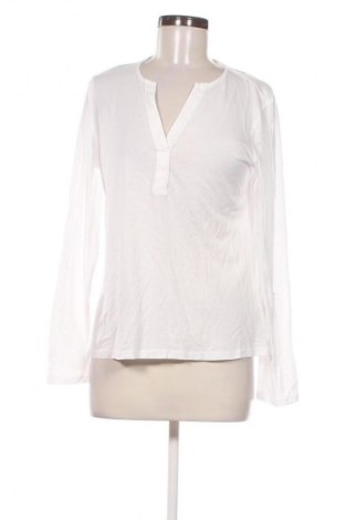 Damen Shirt Massimo Dutti, Größe XL, Farbe Weiß, Preis € 25,00