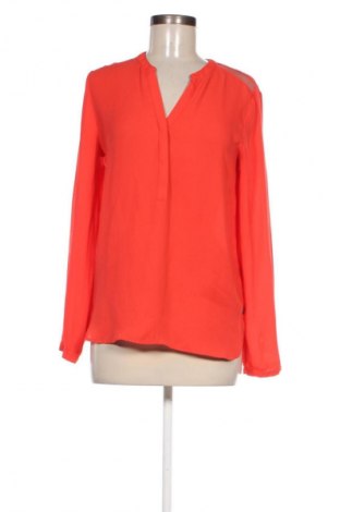 Damen Shirt Scotch & Soda, Größe M, Farbe Rot, Preis € 29,99