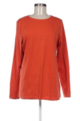 Damen Shirt Tchibo, Größe L, Farbe Orange, Preis 13,99 €