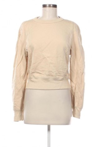 Damen Shirt Uniqlo, Größe S, Farbe Beige, Preis € 23,99