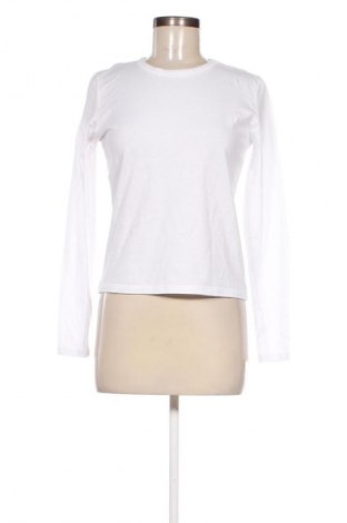 Damen Shirt Zara, Größe M, Farbe Weiß, Preis € 13,80