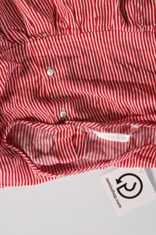 Damen Shirt Zara Trafaluc, Größe S, Farbe Rot, Preis € 8,99