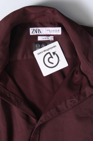 Damenbluse Zara, Größe M, Farbe Braun, Preis € 18,99