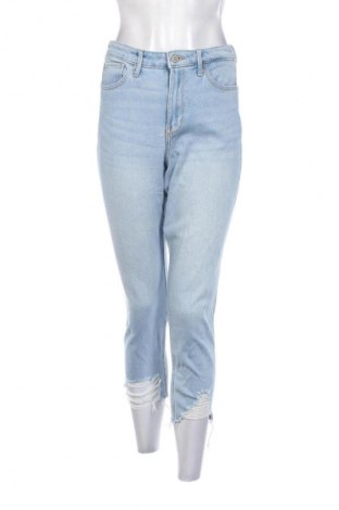 Damen Jeans Hollister, Größe M, Farbe Blau, Preis € 14,99