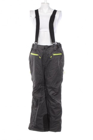 Damenoverall für Wintersport Crane, Größe XL, Farbe Grau, Preis 40,99 €