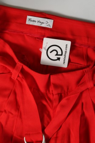 Damen Shorts, Größe S, Farbe Rot, Preis € 10,00