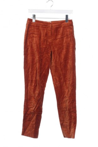 Damenhose, Größe XS, Farbe Orange, Preis 7,99 €