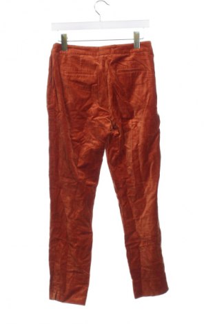 Damenhose, Größe XS, Farbe Orange, Preis 7,99 €