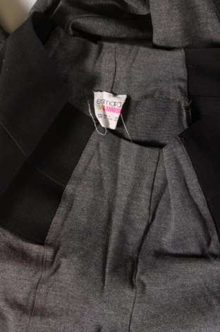 Damenhose Esmara, Größe M, Farbe Grau, Preis € 6,99