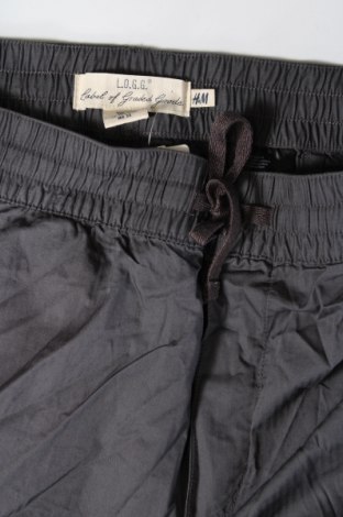 Damenhose H&M, Größe L, Farbe Grau, Preis 10,99 €