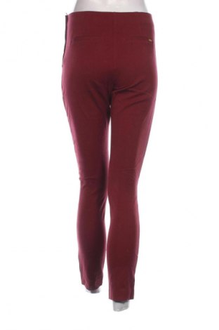 Damenhose Hampton Republic, Größe S, Farbe Rot, Preis € 5,99