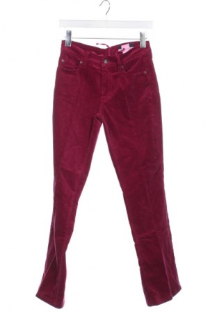 Damenhose Orwell, Größe XS, Farbe Rosa, Preis 7,99 €