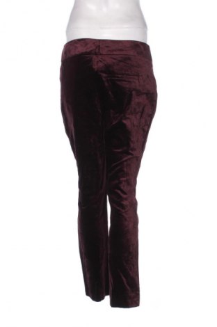 Damenhose Sisley, Größe M, Farbe Lila, Preis € 43,99