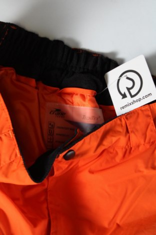 Damenhose für Wintersport Crane, Größe M, Farbe Orange, Preis 40,99 €