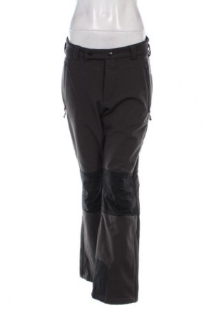 Damenhose für Wintersport Crane, Größe XL, Farbe Grau, Preis 14,99 €