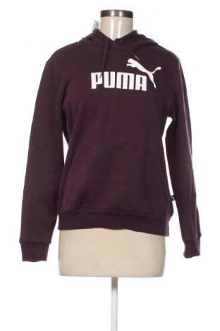 Damen Sweatshirt PUMA, Größe M, Farbe Lila, Preis € 33,99