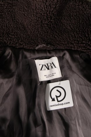 Γυναικείο παλτό Zara, Μέγεθος S, Χρώμα Καφέ, Τιμή 35,99 €