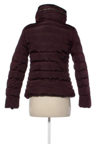 Damenjacke Easy Wear, Größe M, Farbe Braun, Preis € 16,99