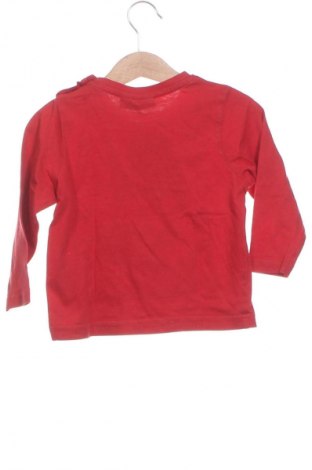 Kinder Shirt Lupilu, Größe 18-24m/ 86-98 cm, Farbe Rot, Preis 6,14 €