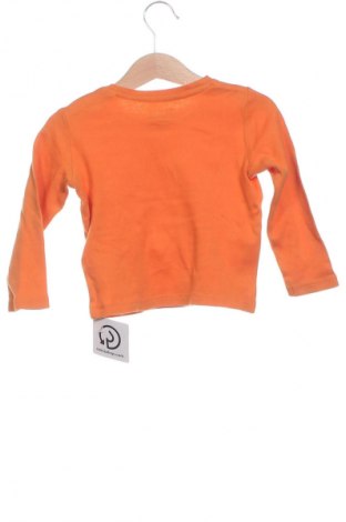 Kinder Shirt Lupilu, Größe 18-24m/ 86-98 cm, Farbe Orange, Preis 6,14 €