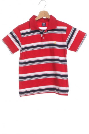 Detské tričko Polo By Ralph Lauren, Veľkosť 14-15y/ 168-170 cm, Farba Viacfarebná, Cena  13,84 €