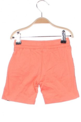 Kinder Shorts H&M, Größe 18-24m/ 86-98 cm, Farbe Orange, Preis 5,99 €