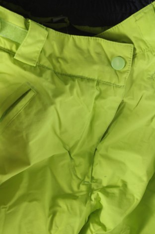 Pantaloni pentru copii pentru sporturi de iarnă Crane, Mărime 12-13y/ 158-164 cm, Culoare Verde, Preț 190,99 Lei