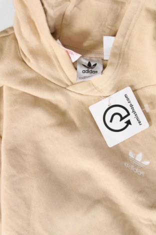 Kinder Sweatshirts Adidas Originals, Größe 13-14y/ 164-168 cm, Farbe Beige, Preis € 25,99