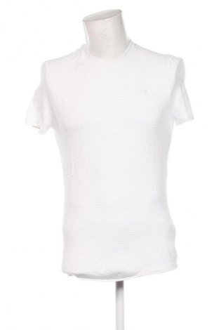 Herren Shirt Hollister, Größe S, Farbe Weiß, Preis € 13,81