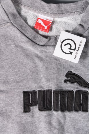 Herren Shirt PUMA, Größe M, Farbe Grau, Preis 20,97 €