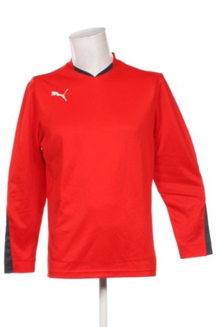 Herren Shirt PUMA, Größe M, Farbe Rot, Preis 25,99 €