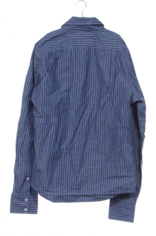 Herrenhemd Hollister, Größe M, Farbe Blau, Preis € 20,07