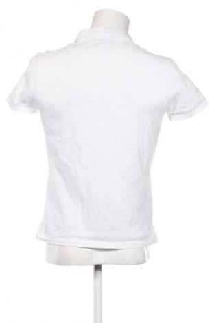 Herren T-Shirt Cavallaro Napoli, Größe S, Farbe Weiß, Preis € 24,48