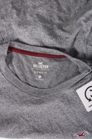 Herren T-Shirt Hollister, Größe M, Farbe Grau, Preis € 7,62