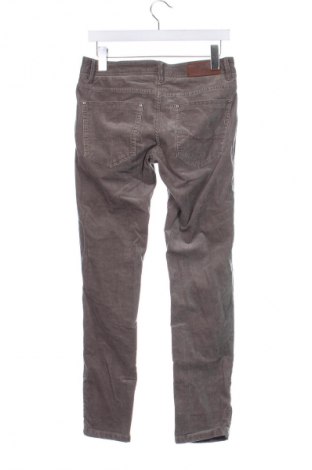 Herren Cordhose Alcott, Größe S, Farbe Braun, Preis 22,43 €