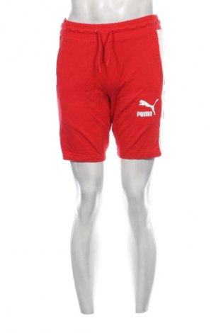 Herren Shorts PUMA, Größe S, Farbe Rot, Preis 17,00 €