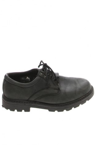 Herrenschuhe Hush Puppies, Größe 41, Farbe Grün, Preis 31,71 €