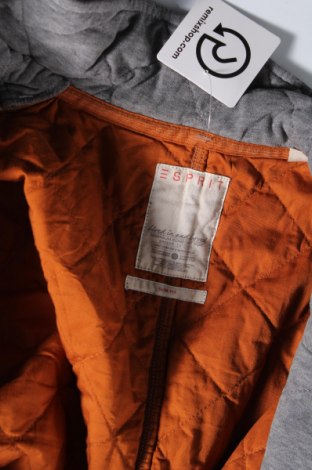 Мъжко яке Esprit, Размер XL, Цвят Сив, Цена 34,99 лв.