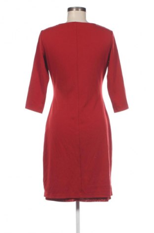 Kleid Betty Barclay, Größe M, Farbe Rot, Preis 55,99 €