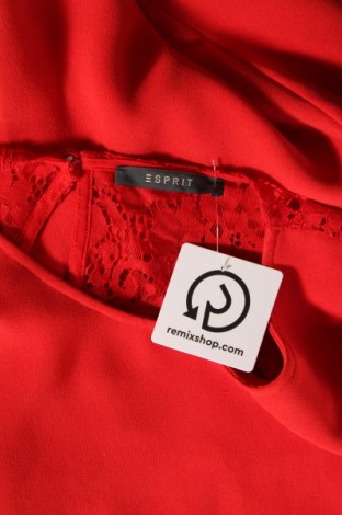 Kleid Esprit, Größe S, Farbe Rot, Preis € 35,21