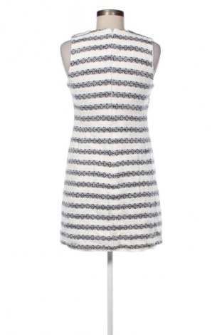 Kleid J.Crew, Größe S, Farbe Mehrfarbig, Preis € 27,99