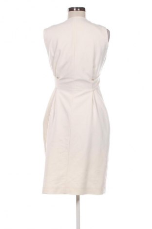 Kleid Massimo Dutti, Größe L, Farbe Weiß, Preis € 41,91