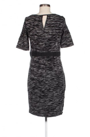 Kleid Miss Etam, Größe L, Farbe Mehrfarbig, Preis 33,99 €