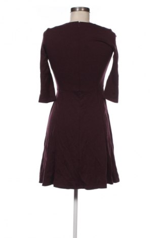 Kleid Zero, Größe S, Farbe Lila, Preis € 33,99