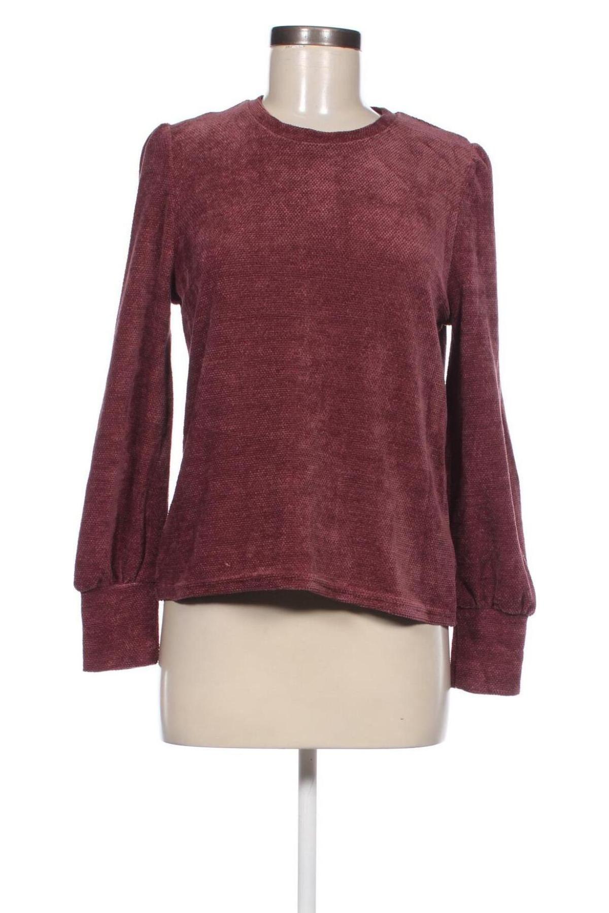 Damen Shirt, Größe S, Farbe Lila, Preis € 13,99