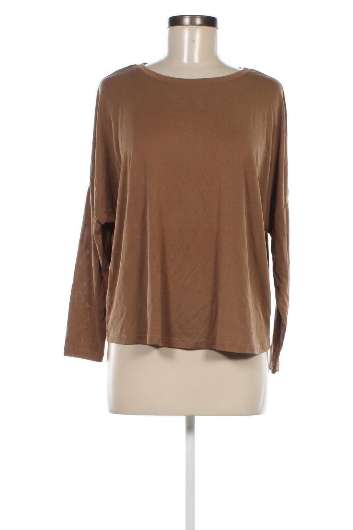 Damen Shirt 17 & Co., Größe M, Farbe Braun, Preis 13,99 €