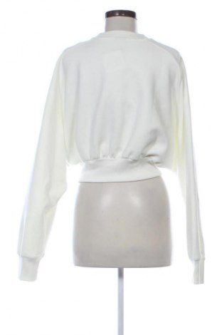 Damen Shirt Adidas, Größe S, Farbe Ecru, Preis € 25,00