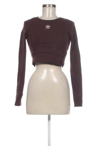 Női blúz Adidas Originals, Méret M, Szín Barna, Ár 10 069 Ft